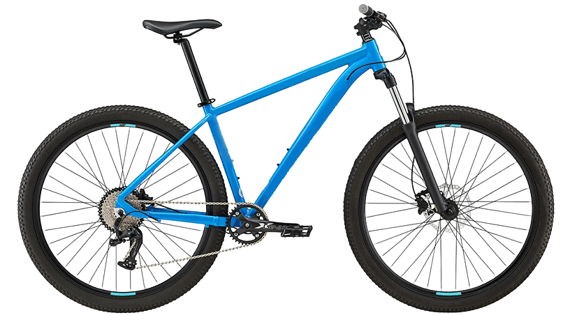 Conventional bicycle.