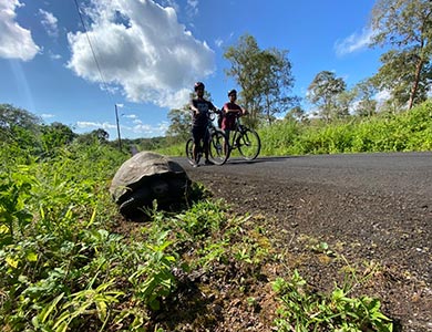 Cyclists with a giant tortoise at the Frontier Ranch.
