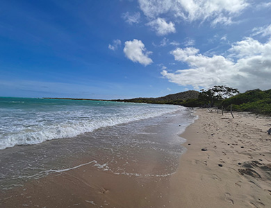 El Garrapatero Beach.