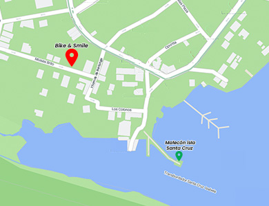Bike and Smile Location.