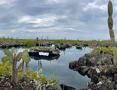 The Tunnels, Isabela Island.